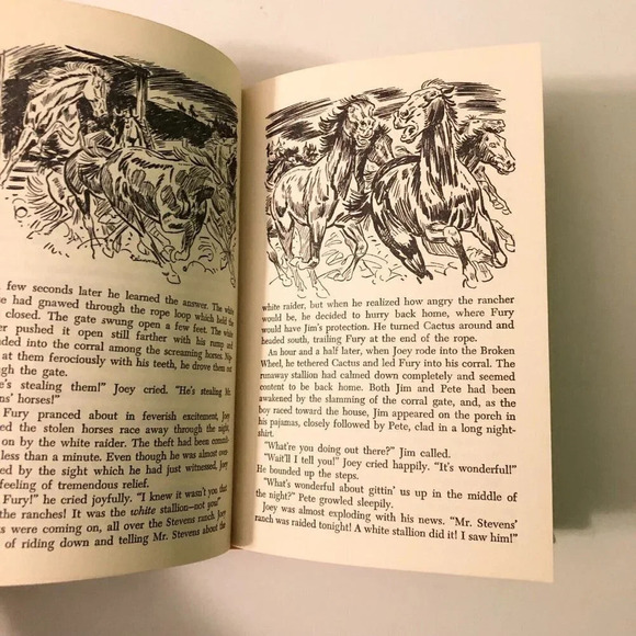 1959 Fury Stallion of Broken Wheel Ranch by Albert G Miller Hardcover - Picture 12 of 14